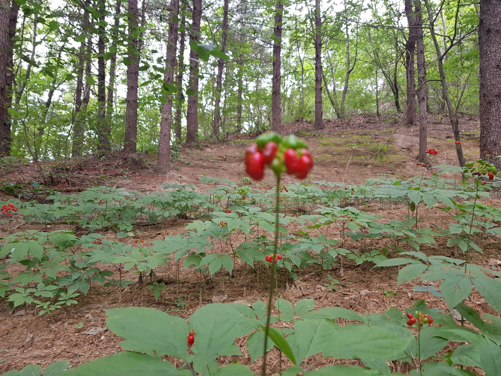 명절 선물, 정성을 담다